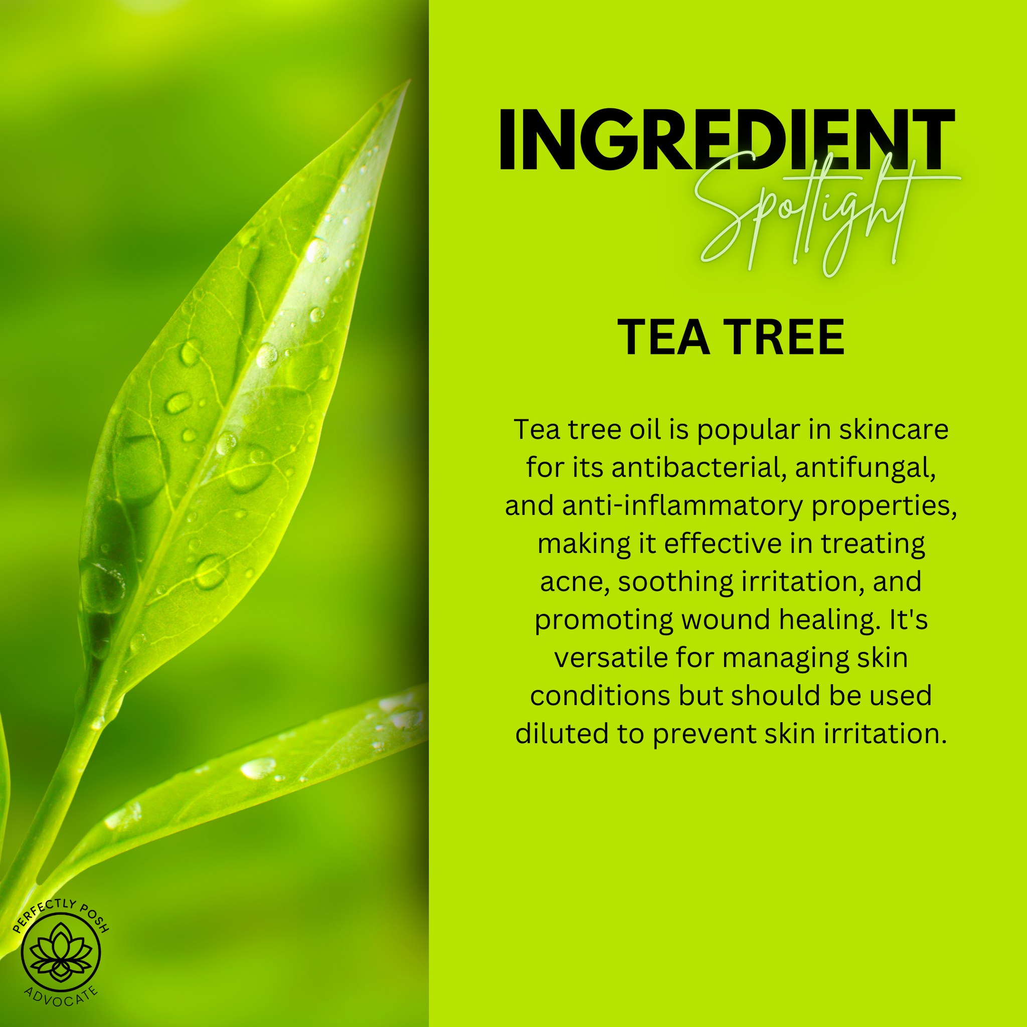 Benefits of Tea Tree Oil