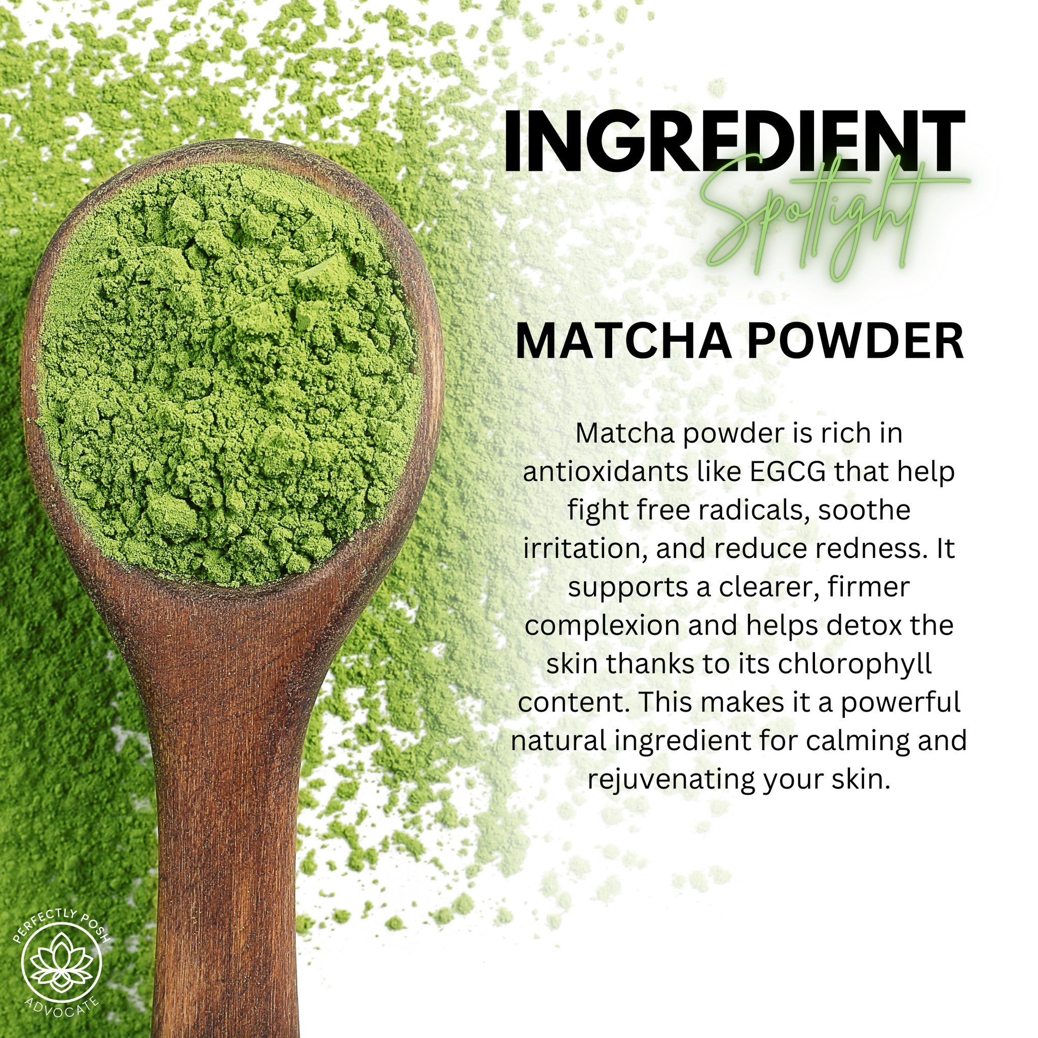 ✨ Ingredient Spotlight: Matcha Powder