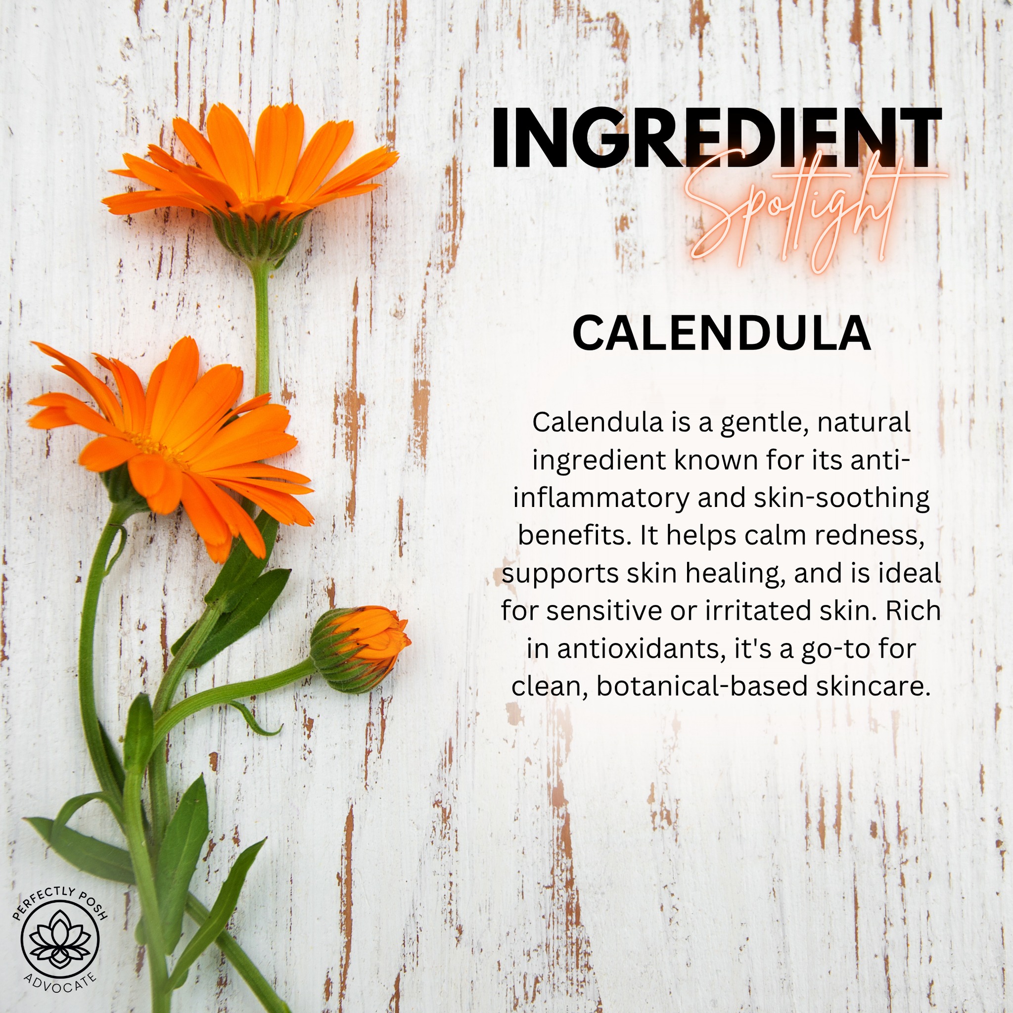Calendula: The Sweet Flower That’s Tough on Zits