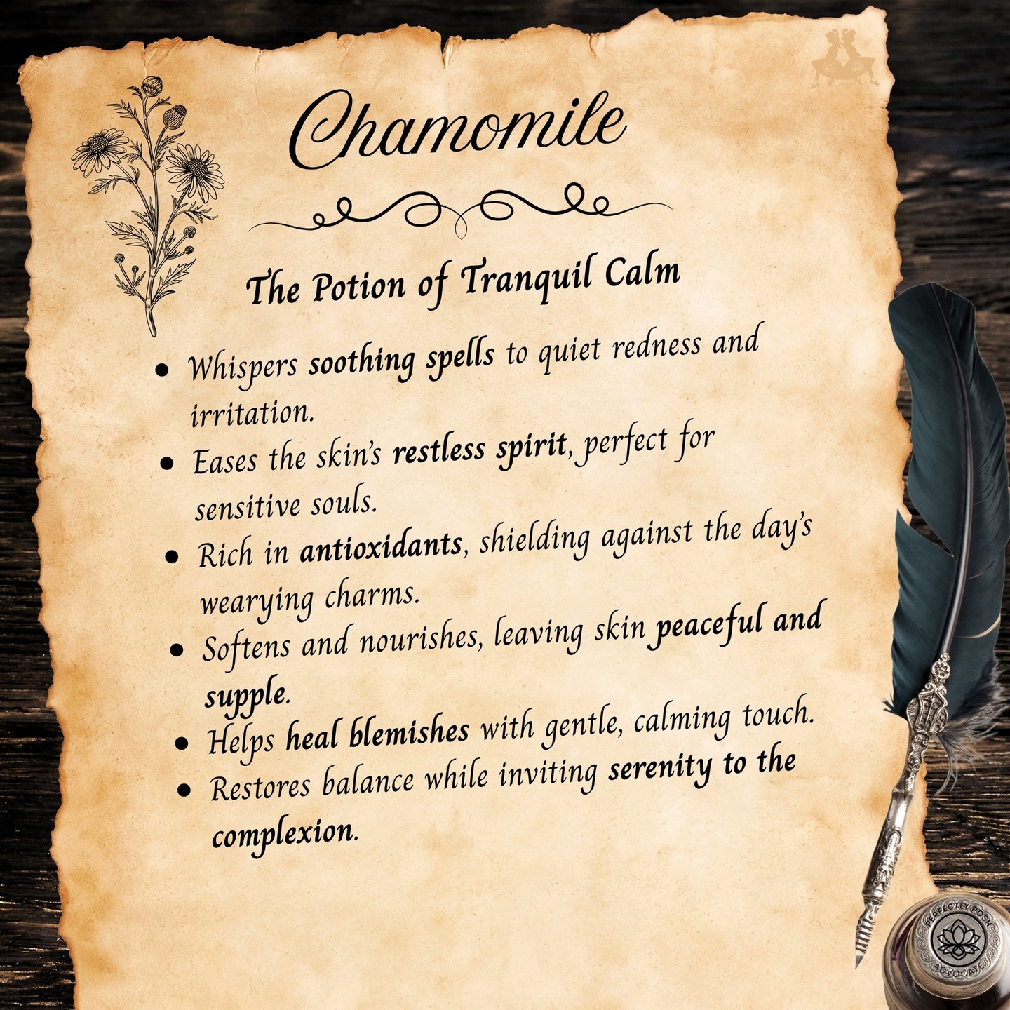 Potion of Tranquil Calm (Chamomile)

Poshlyn brews a soothing floral spell with Chamomile. 🌼

It softens skin, reduces redness, and brings peace to even the most stressed complexions. One whiff, and calm takes over. ☕️💛

#ChamomileCharm #TranquilSkin #WitchyGlow #janicaspamperedlife