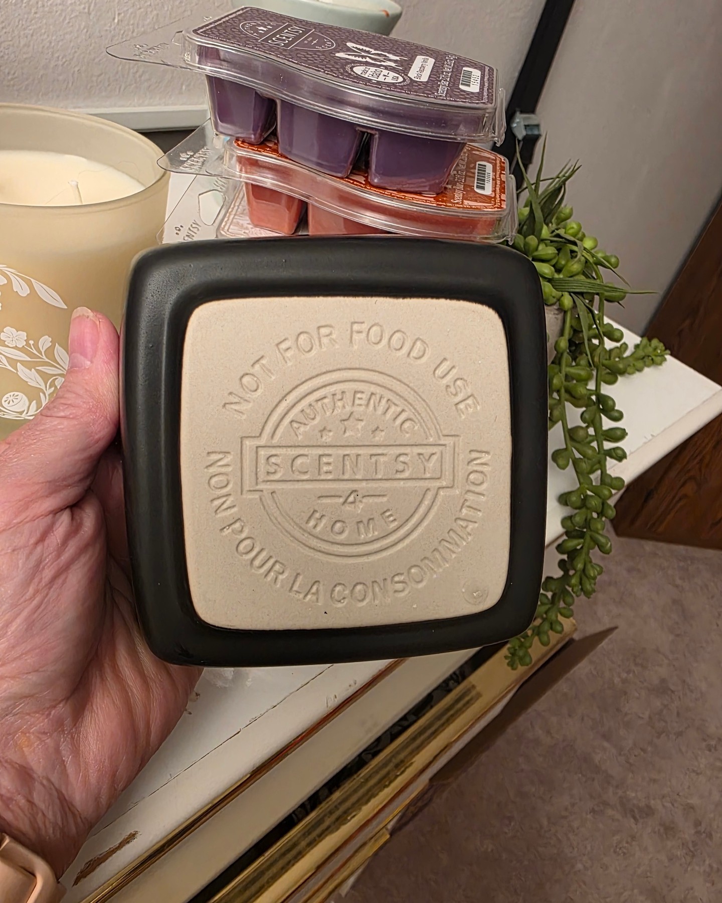🕯 Wax Wisdom Wednesday 🕯
Did you know your warmer tells you how many cubes to use? 👀
Check the bottom of your dish for the stamped number ~ that’s Scentsy’s sweet spot for perfect fragrance throw.
💜 Use fewer cubes in small rooms
💜 Add a bit more for larger spaces
💜 Just don’t overfill your dish 😉

So tell me… what number does your warmer say?

#WaxWisdom #ScentsyTips #HomeFragrance #CozyHome